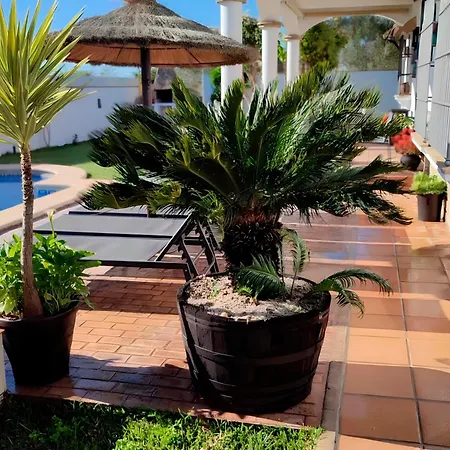 Grande Con Piscina Parejas Y Familias * Conil De La Frontera
